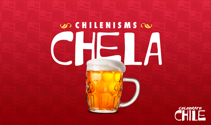chilenismo1